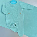 Saída Maternidade Leo