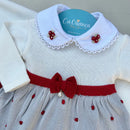 Saída Maternidade Maria Julia