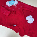 Saída Maternidade Ana Júlia