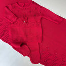 Saída Maternidade Ana Júlia