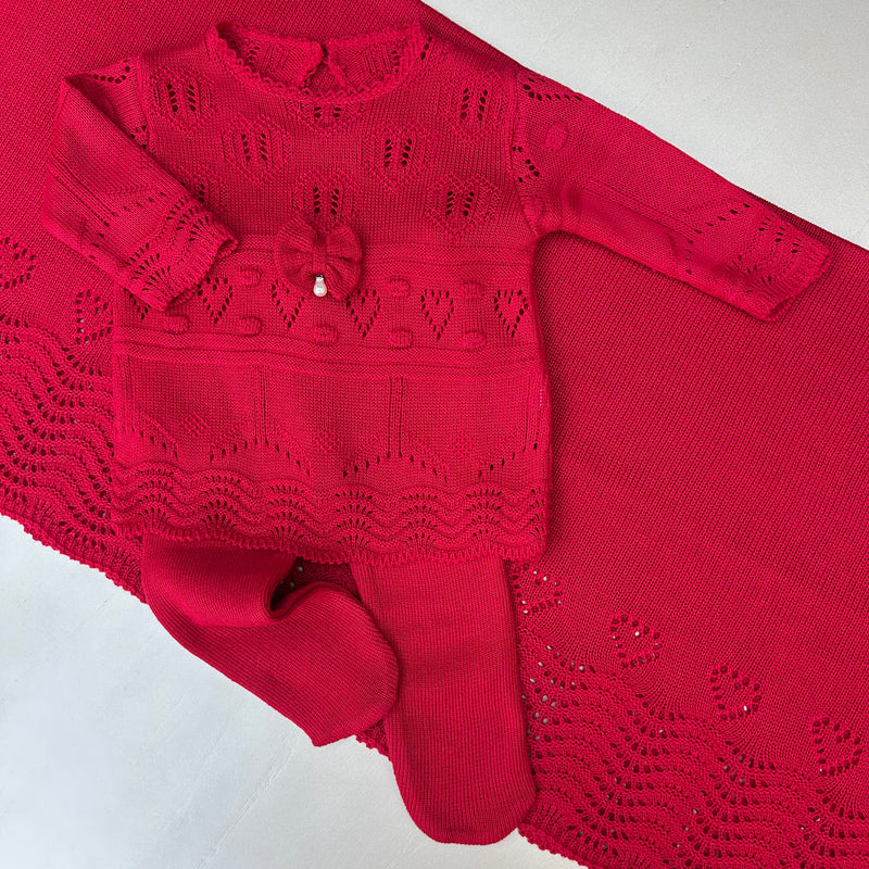 Saída Maternidade Ana Júlia