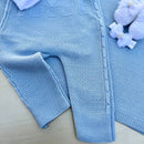 Saída Maternidade Alana